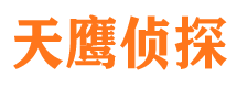 麦盖提侦探公司